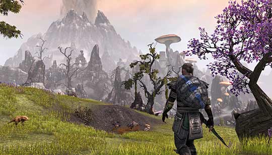 скриншоты к игре The Elder Scrolls Online