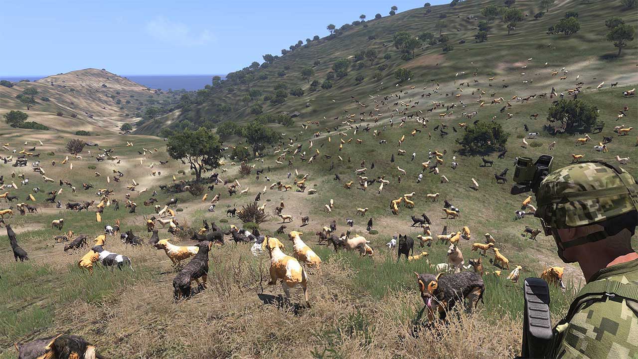 Скриншот к игре ArmA 3: Battle Royale